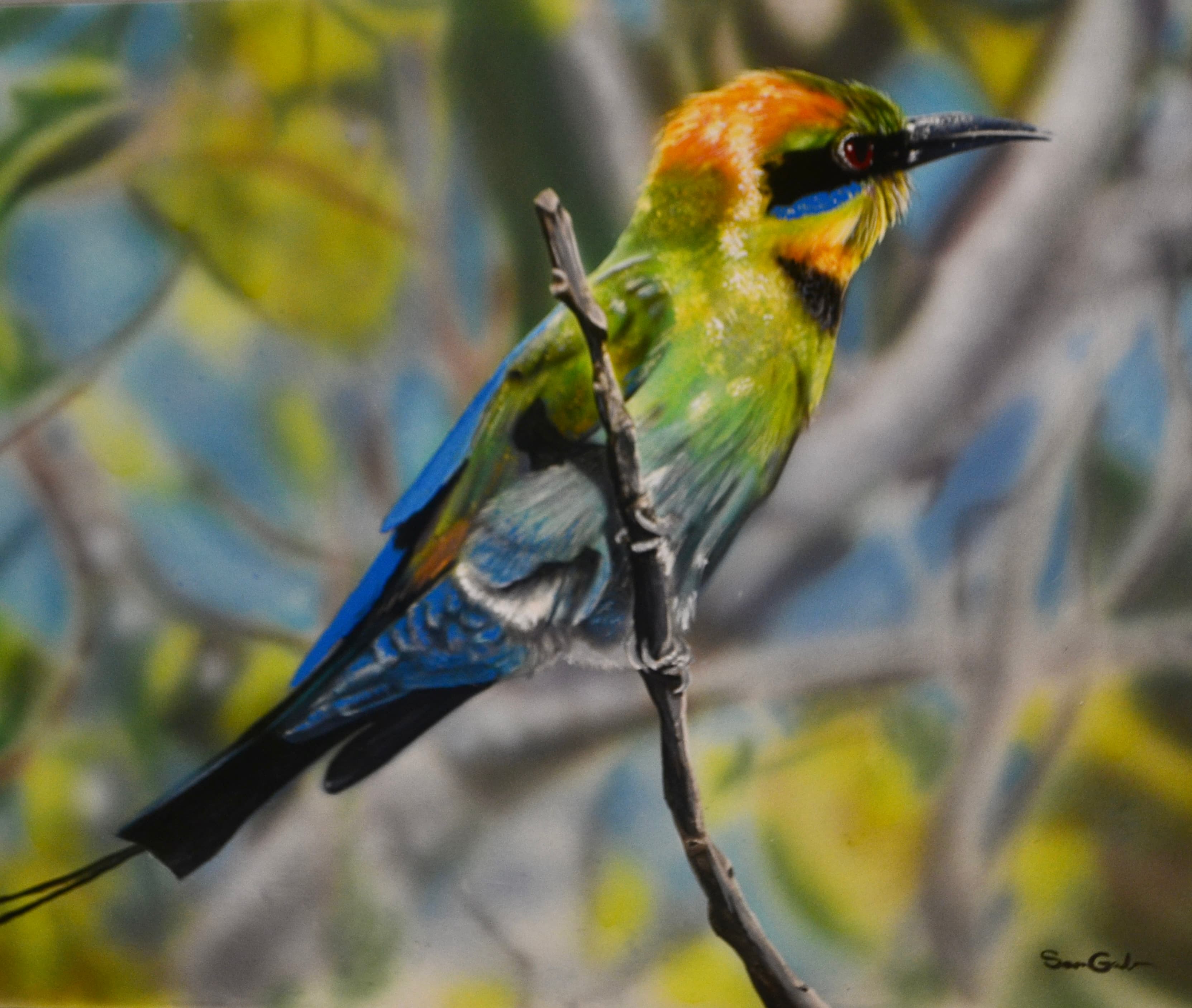 Vibrant green and blue bee-eater bird with orange head perched on a thin branch.
