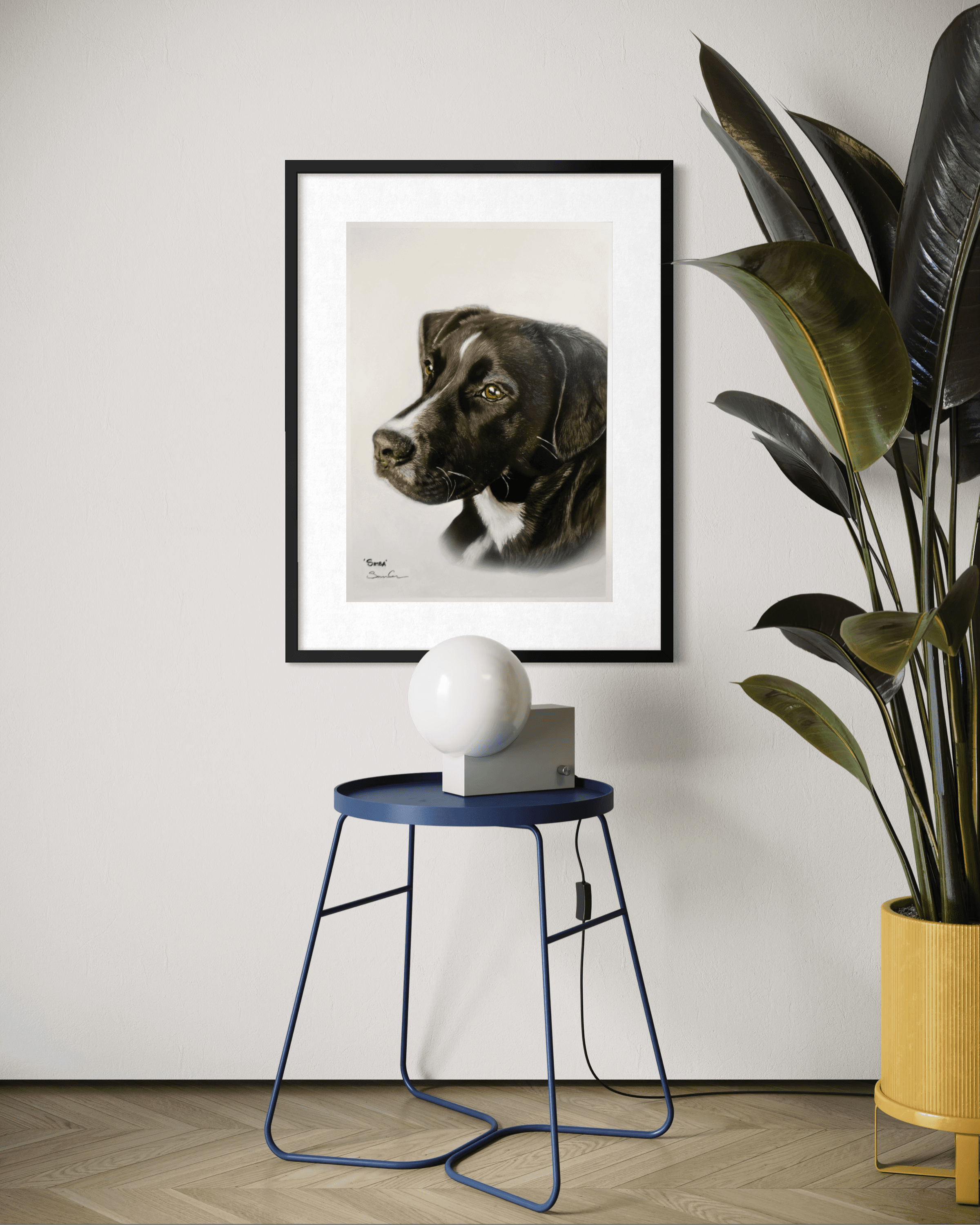 Framed black dog portrait hanging above a blue side table and a large green plant.