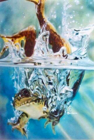 Painting of a frog diving into water, showing the splash and submerged head in detail.